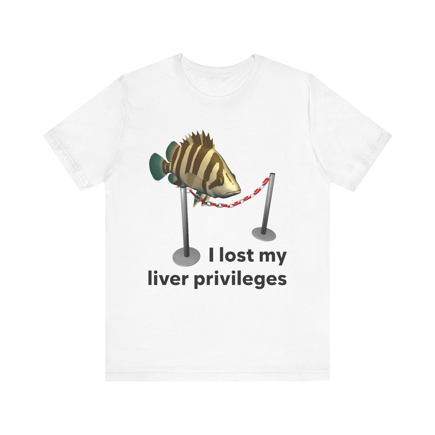 I Lost My Liver Privileges Tee